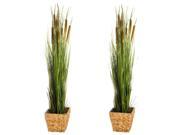 2 Pack Artificial 47 in. Cattails and Reed Grass in Black Pot