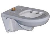 AMERICAN STANDARD 2296019EC.020 Bedpan Toilet Bowl Wall 161 8 H