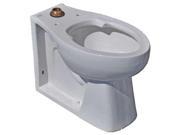 AMERICAN STANDARD 3313001.020 Bedpan Toilet Bowl Back Outlet 17 1 8 H