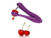 Premium Cherry and Olive Pitter. Olive Core seed stone Removal. Kitchen Tools for Fruit Vege Salad. Easy Cooking. Regal Purple.Deluxe Cherry and Olive Pitter Co
