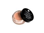 ABSOLUTE Correct N Cover Dark Circle Concealer Light
