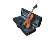 Carlo Robelli VYOUNGMII Young Master Full Size Violin Outfit