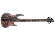 ESP LTD B 1005SE Multi Scale 5 String Bass