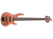 ESP LTD B 1005SE 5 String Bass