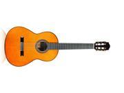 Cordoba C9 Parlor 7 8 Size Nylon String Classical Acoustic Guitar