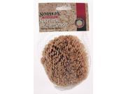 Purdy 5in. Large Sea Sponges 031925 003