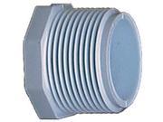 Genova Products 2 in. PVC Sch. 40 Threaded Plugs 31820