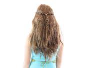 Game of Thrones Medieval Princess Queen Braided Costume Wig