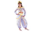 Aladdin Disney Princess Storybook Jasmine Prestige Dress Costume