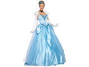 Adult Movie Disney Princess Cinderella Enchanting Deluxe Ballroom Dress Costume