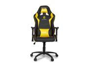 Akracing Ak DIGNITAS MAX Ergonomic Series Executive Racing Style Computer Gaming Office Chair with Lumbar Support and Headrest Pillow Included Team Dignitas E