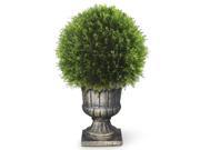27 Upright Juniper Ball Topiary
