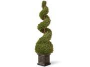 48 Cedar Topiary