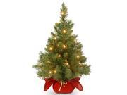 National Tree Company 24" Majestic Spruce Tree in Burgundy Cloth Bag with 35 Warm White Battery Operated Led Lights