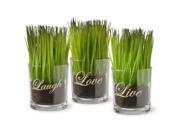 National Tree Artificial 3-Piece Sprout-Filled Glass Assortment