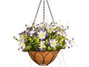 13 Petunia Flowers Hanging Basket