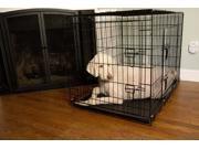 Iconic Pet Foldable Double Door Pet Dog Cat Training Crate with Divider