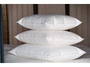 Ogallala Comfort Company Double Shell 700 Hypo Blend Medium Pillow King