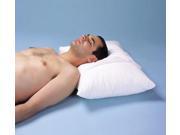 Allergy Free Standard Pillow L 26 x H 3 x W 20