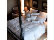 Ogallala Comfort Company Monarch 700 Hypo Blend Artic Down Comforter Queen