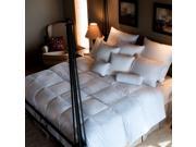 Ogallala Comfort Company Monarch 800 Hypo Blend Classic Down Comforter King
