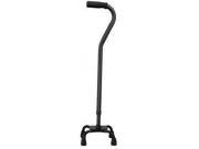 Cane Holder for Walker Wheelchair