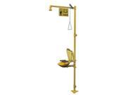 Drench Shower With Eyewash Bradley S19314PDCFW