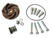 Dayton Pump Repair Kit 21TG36