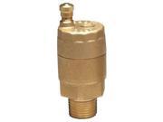 WATTS FV 4M1 3 4 Automatic Air Vent Valve 3 4 In Brass