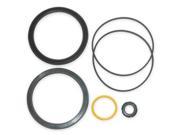 SPEEDAIRE 2ZB73 Cylinder Repair Kit Cushioned 2 In Bore