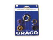 GRACO 248212 Pump Repair Kit Line Striping