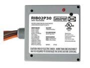 FUNCTIONAL DEVICES INC RIB RIB02P30 Enclosed Power Relay DPST 20A @ 300VAC