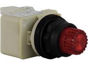 Illuminated Push Button Schneider Electric 9001SK2L38LRRH13