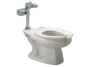Zurn Industries Flushometer Toilet Elongated 1.28 gpf Z5665.243.00.00.00