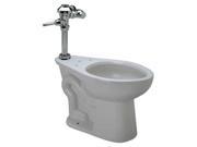 Zurn Industries Flushometer Toilet Elongated 1.28 gpf Z5665.258.00.00.00