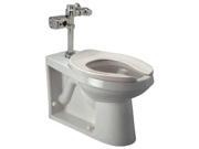 Zurn Industries Flushometer Toilet Elongated 1.28 gpf Z5645.186.00.00.00