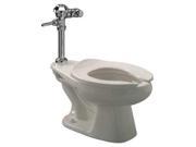 ZURN Z5666.258.00.00.00 Bedpan Flushometer Toilet 1.28gpf 9x8SA