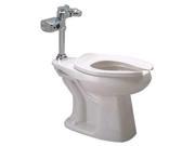 ZURN Z5666.243.00.00.00 Bedpan Flushometer Toilet 1.28gpf 9x8SA