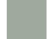 Silver Gray Interior Exterior Paint 5282402 Rust Oleum