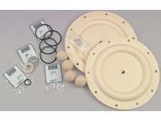 PTFE Santoprene R Diaphragm Pump Repair Kit Aro 637161 EB C