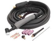 THERMAL ARC W4013802 TIG Torch And Accessories For 181i