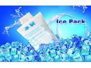 Adjustable Cool Fresh Inject Water Reusable Ice Pack Bag 20pcs