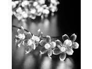 50 LED White Light Solar Fairy String Lights Blossom Decorative Gardens