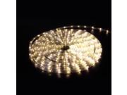 150 2 Wire LED Rope Light In Outdoor Home 110V Lighting 1 2 Party Warm White