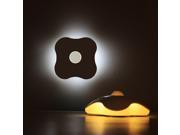 Beautiful Human Sensor Night Lights Human Body Auto Motion Light Sensor Induction Lamp wall light