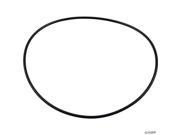 Pentair American Products O Ring Bronze Pump Seal Plate O 329 39702800