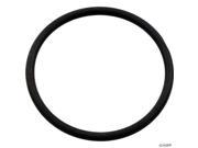 Pentair American Products O Ring Power Glas O 49 46824000