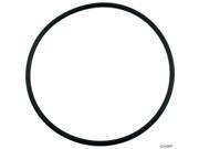 Jacuzzi Carvin O Ring Cygnet Seal Plate O 460 47 0361 08 R