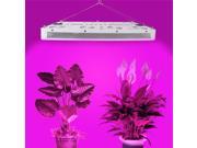 New 1600W Powerful Full Spectrum LED Grow Light For Flower Hydroponics Plants Kits