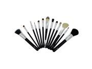 Professional 12 Piece Make up Brushes Set From Royal Care Cosmetics
